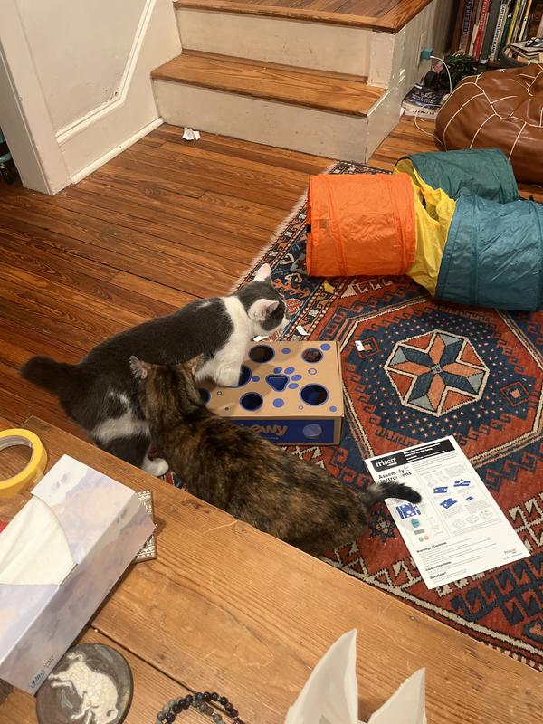 libby and theo having fun.