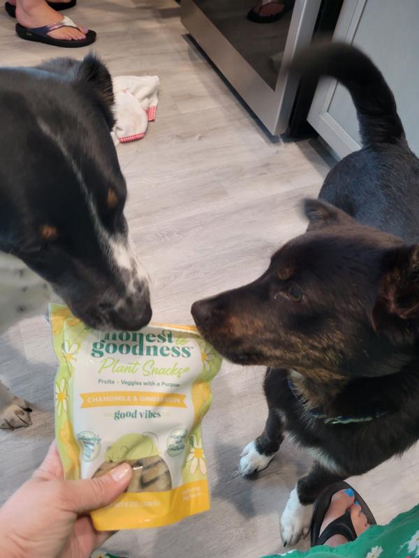 Checking out the bag and letting me know they do want to try them.