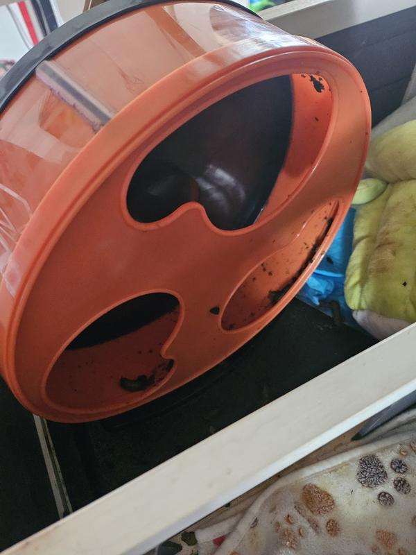 EXOTIC NUTRITION Silent Runner Small Animal Exercise Wheel, Orange