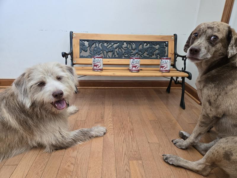 ZOOM IN to see the food my dogs LOVE