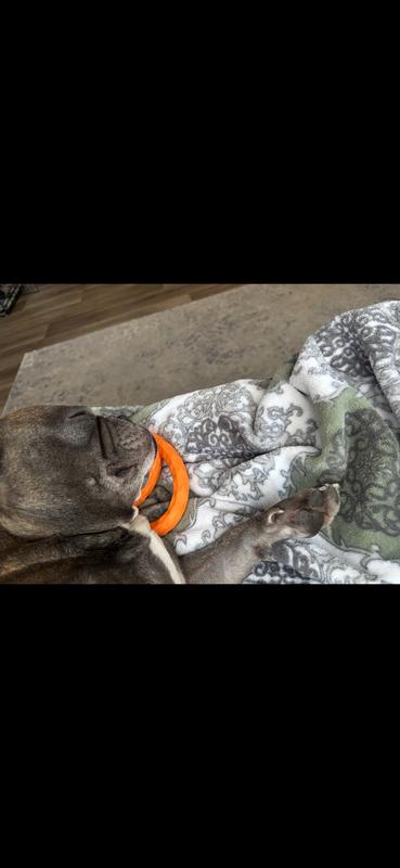 Sleeping with his new toy