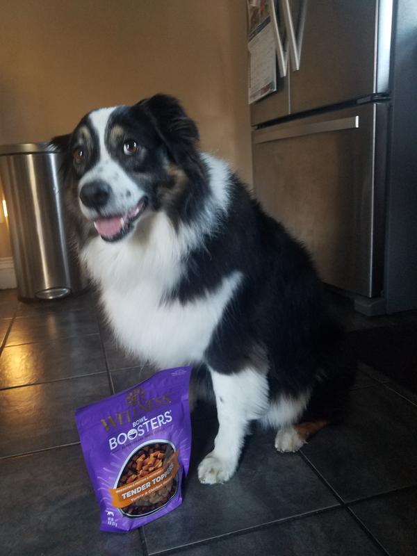 WELLNESS Bowl Boosters Tender Turkey & Chicken Dog Food Topper, 2lb