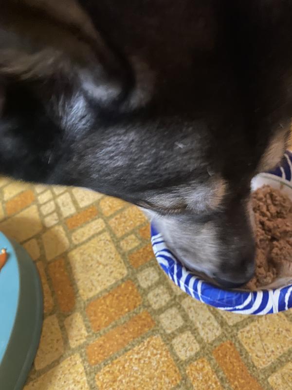 It’s so good he licks the spoon!