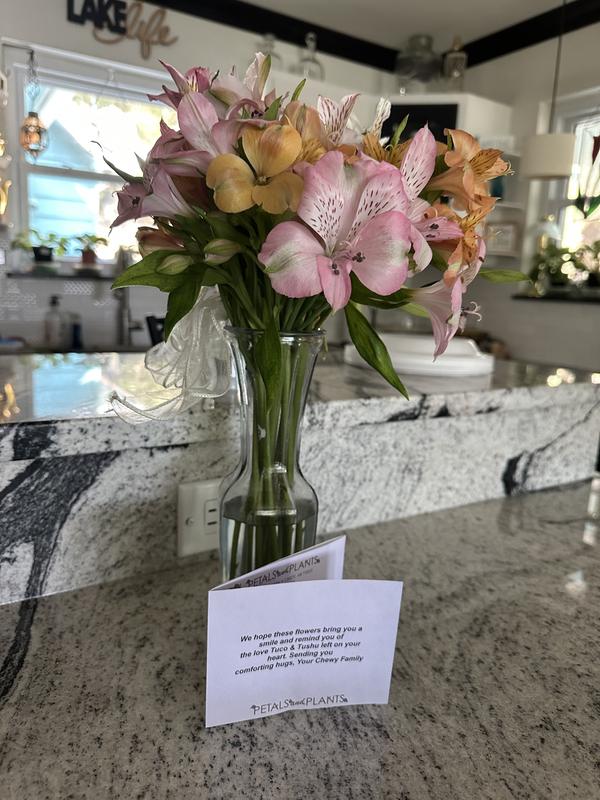 Wonderful surprise after an awful loss!
