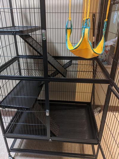 Feisty ferret best sale cage dimensions