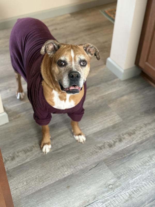 This is my healthy Stella!