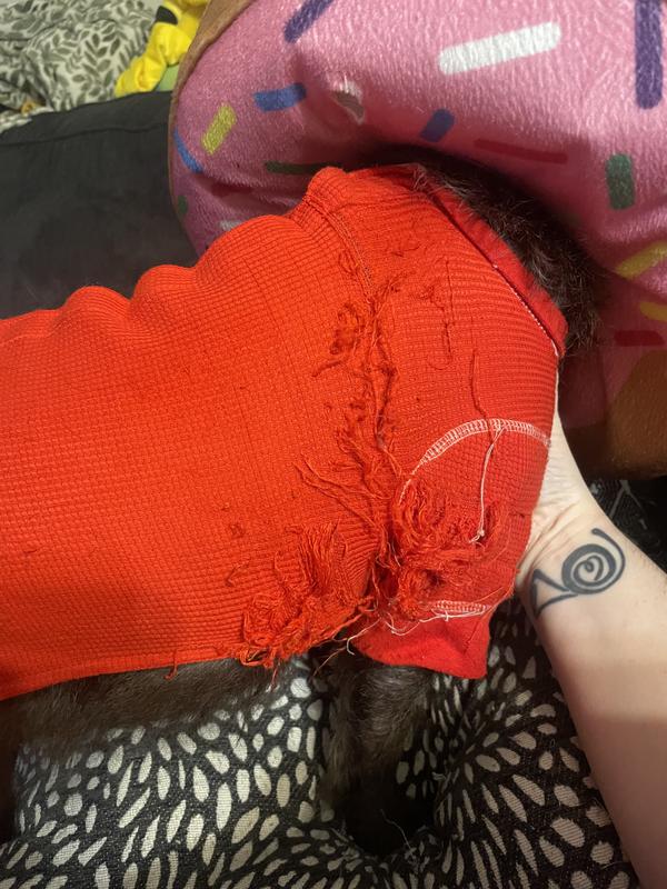 The wreckage after 1 week.