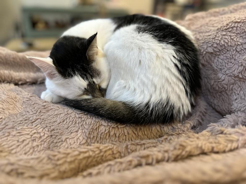 Not a stinky care in the world