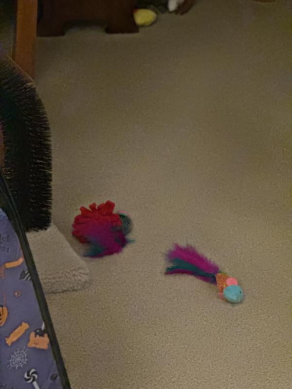 Lonely toys for Christmas