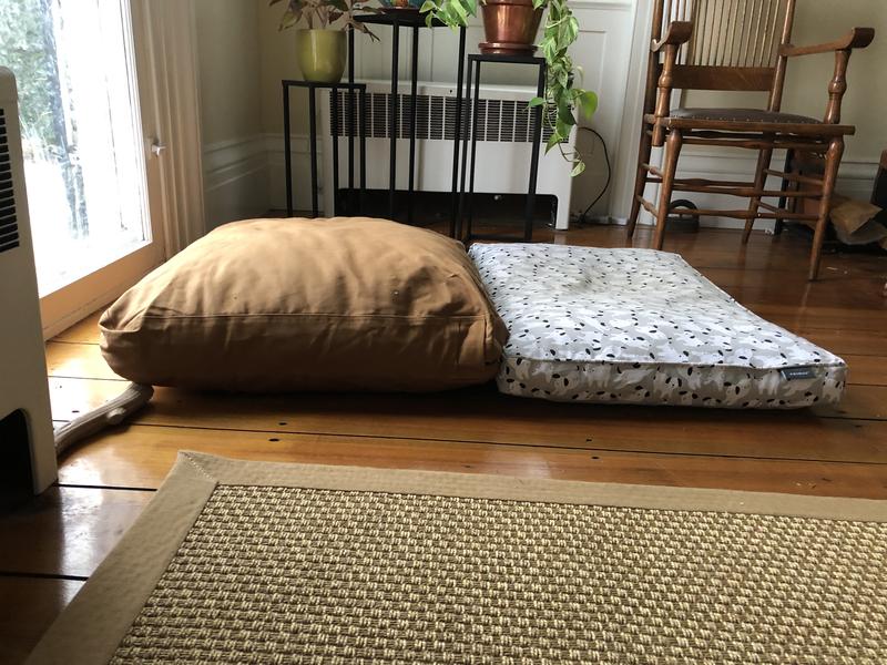 CARHARTT Pillow Dog Bed with Removable Cover, Dark Brown, Medium