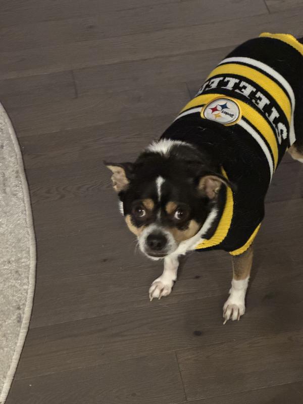 Zeke!