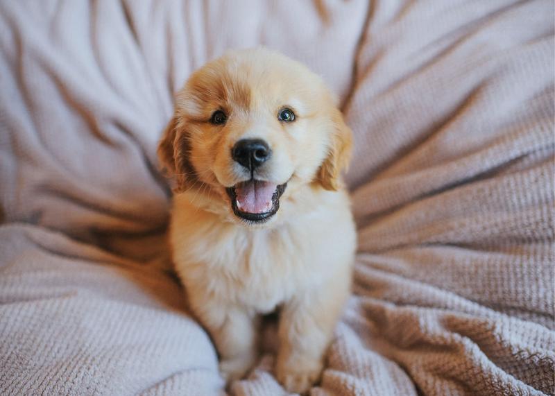 Max when he first came home :)