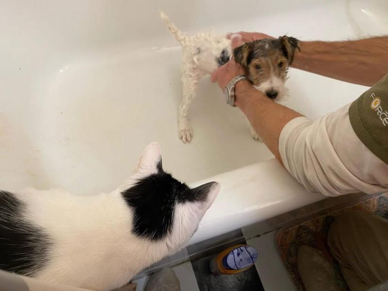 Darcy’s bath time with moral support from Winnie