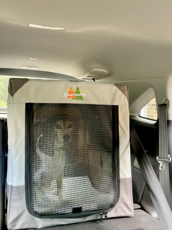 Travel made safe & easy for Leo:)