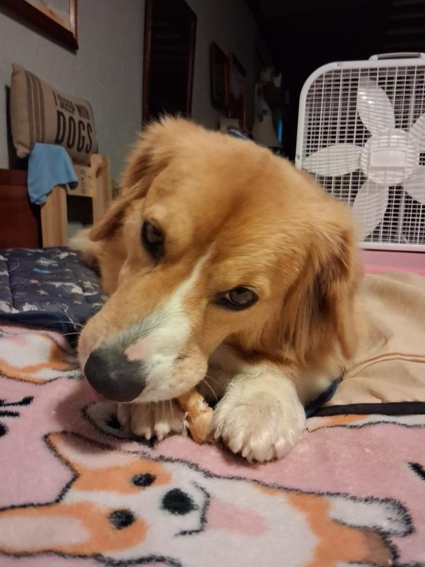 Patrick thinks these are the best!