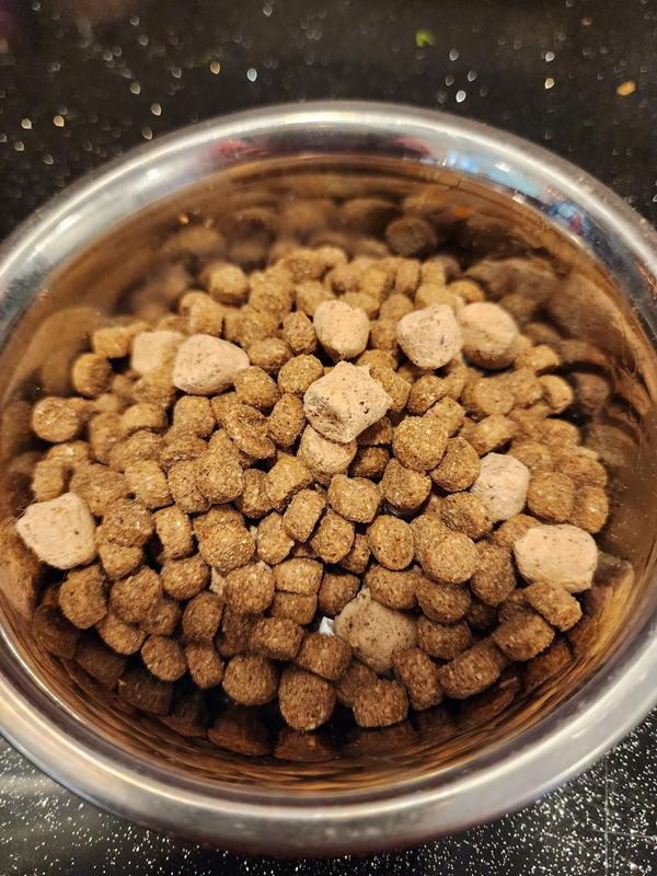 Bowl of kibble with freeze dried bits.