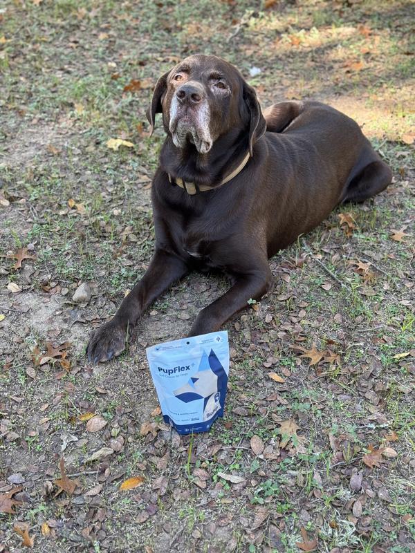 It actually WORKS for Chief