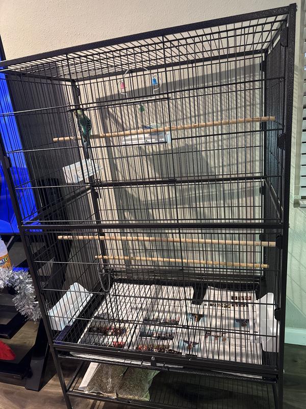 Matcha and Fercha approved!