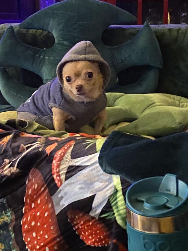 Cute and comfy