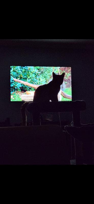 Top of tower, loving life