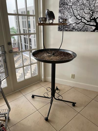 Product Reviews for KAYTEE EZ Care T Bird Stand