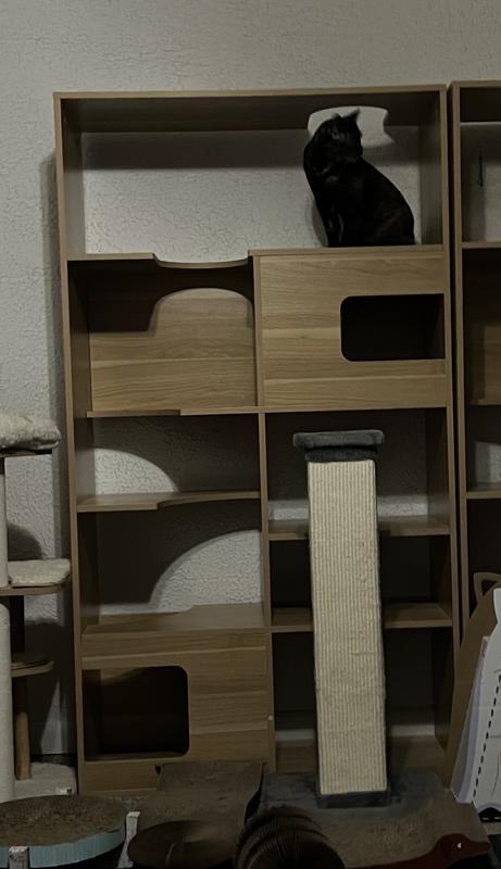 Hard to capture a picture of them in the lower levels because they love to run up and down and all over