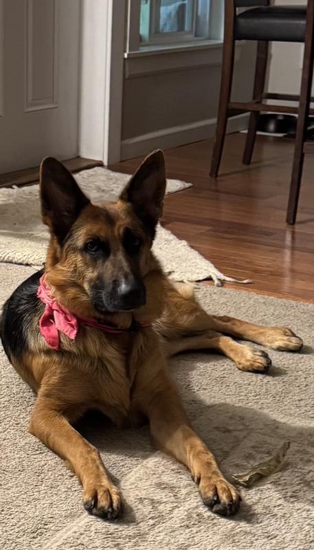 My sweet girl Dita:)