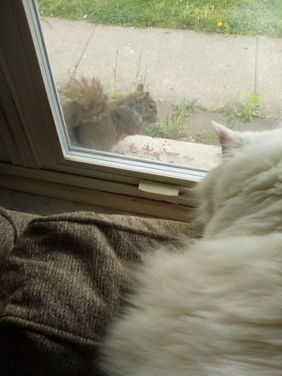 Miss White watching her "favorite show"