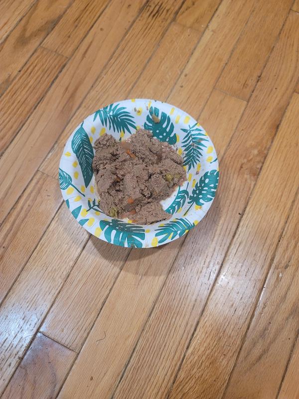 adult wet chewy cat food 4health with Wholesome Grains Adult Chicken Formula Wet Cat Food, 5.5 oz main image 0