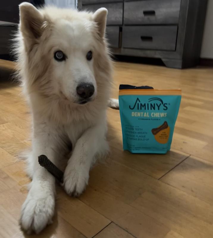 Eddard about to enjoy (some) of his tasty treat