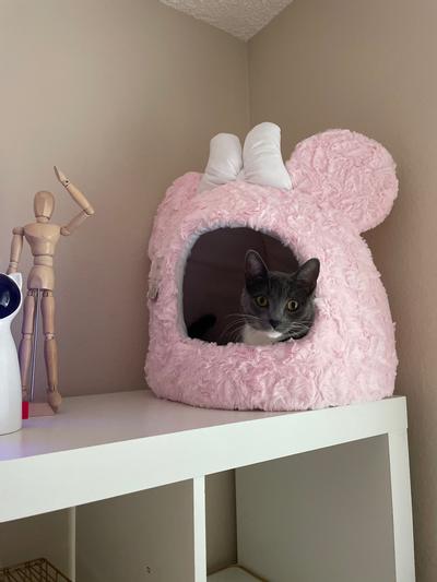 BEST FRIENDS BY SHERI Disney Minnie Mouse Shag Fur Hut Covered Cat Dog Bed Pink reviews Chewy