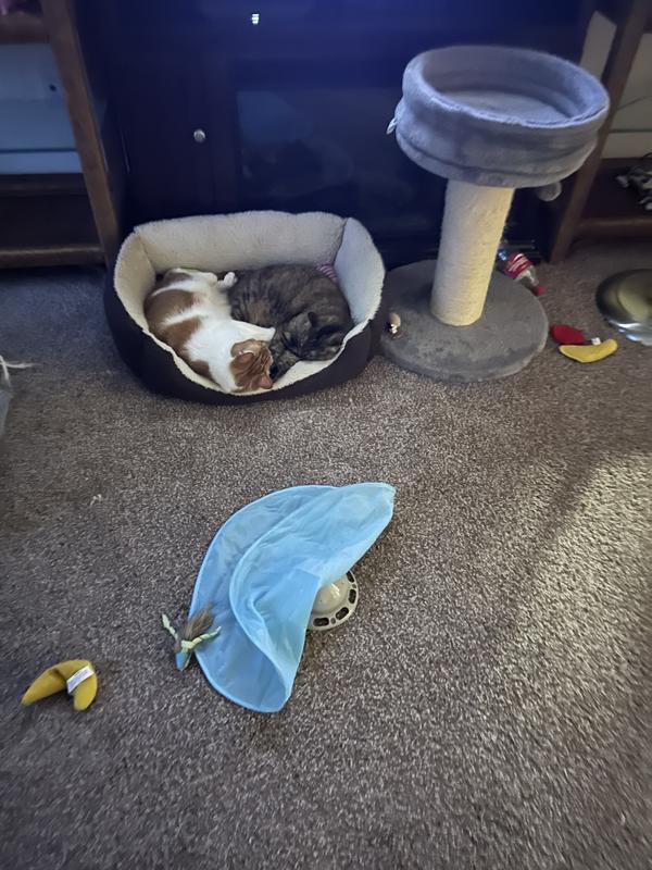 Milly and Marco ❤️❤️