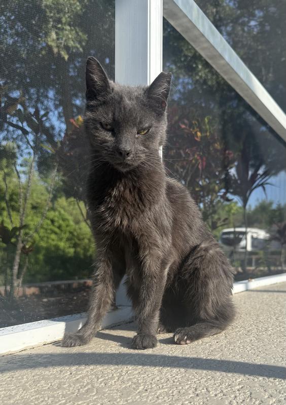 Relaxing After A Wonderful Breakfast!