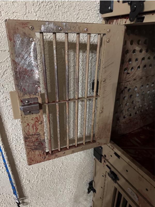 Technically he did not escape