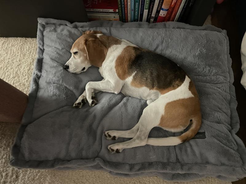 Sleeps like a baby :)