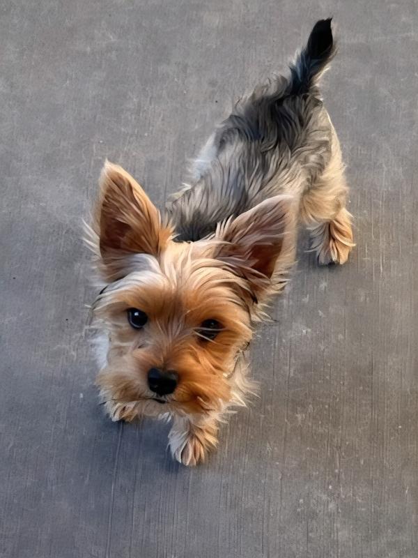 My best walking partner for great laughs at his inquisitive nature