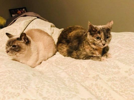 Frosty and Harlow approve :)