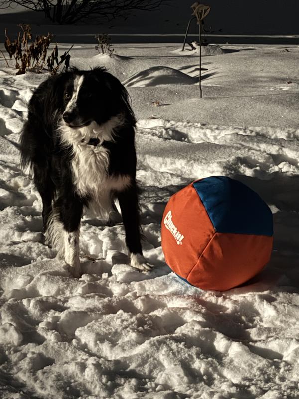 Just kick it so I can get it please!