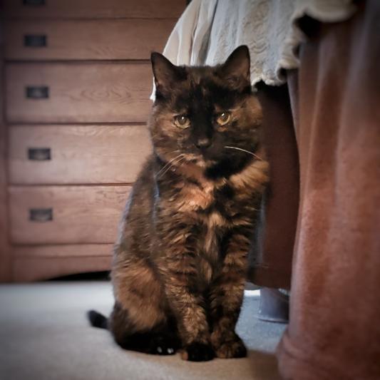 Our gorgeous little girl