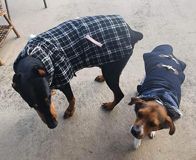 Frisco Boulder BLUE Plaid Insulated Dog & Cat Puffer Coat PICK