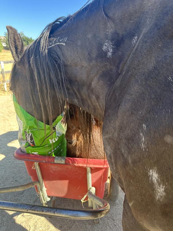 We Can't Feed It Fast Enough