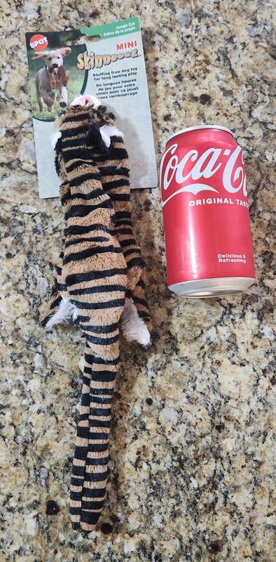 tiger vs. 12oz. can