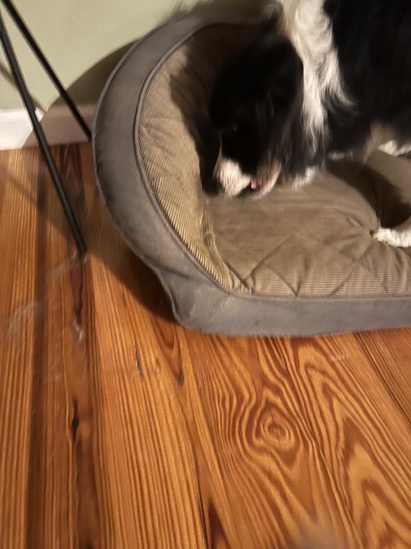 It didn’t last long!