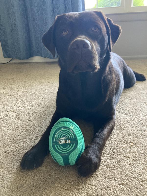 KONG Licks Mat - Tappetino Dispenser Giochi Per Cani Con Ventose - Foto 10