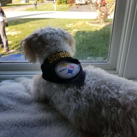 Pets First NFL DOG BANDANA - KANSAS CITY CHIEFS REVERSIBLE PET BANDANA. 2  Sided Sports Bandana with a PREMIUM Embroidery TEAM LOGO, Small/Medium. - 2  Sizes & 32 NFL Teams available (KCC-3217-S-M)