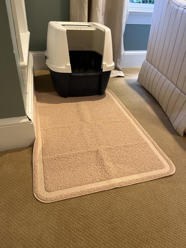 Litter Box No. 1