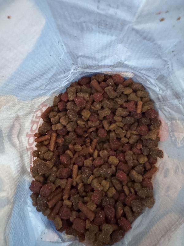 Good amount of kibble and the pieces are coated in a powder that got her attention