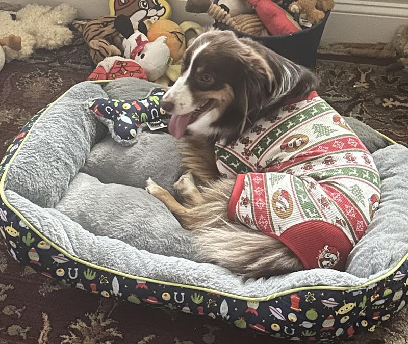 Toy story dog bed sales
