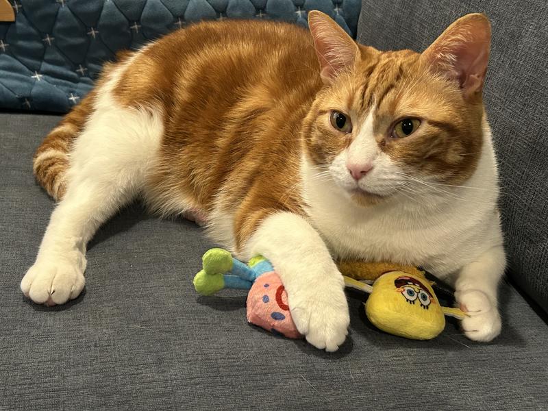 Lewis laying on the couch with his toys