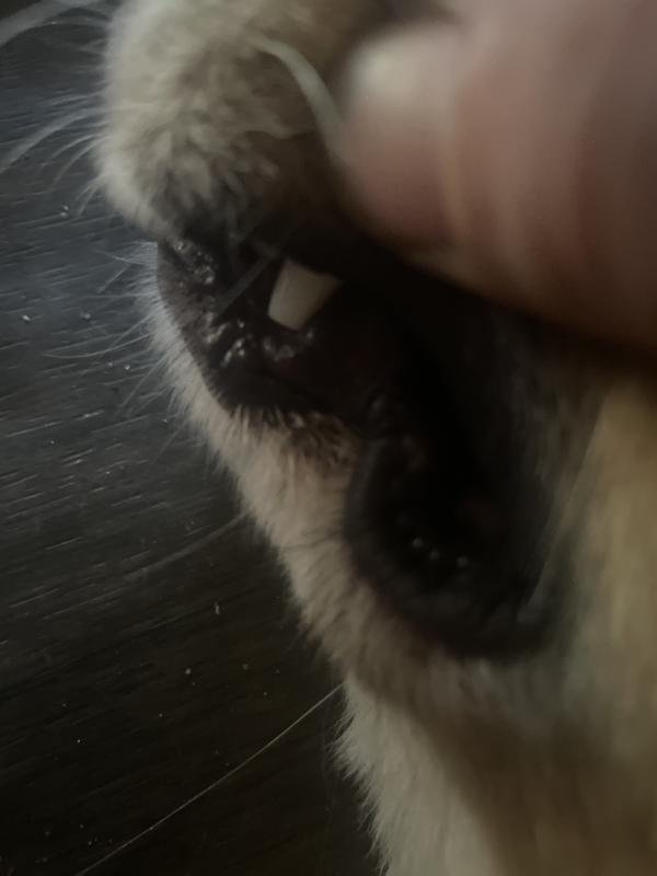 I trashed these don’t recommend!